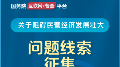 大鸡吧操我国务院“互联网+督查”平台公开征集阻碍民营经济发展壮大问题线索